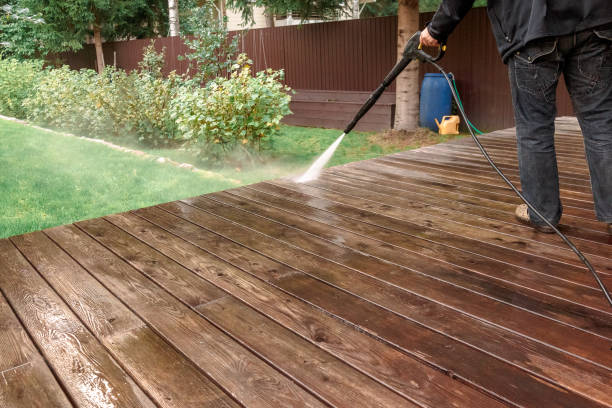 Best Roof Washing  in Phillipsburg, NJ